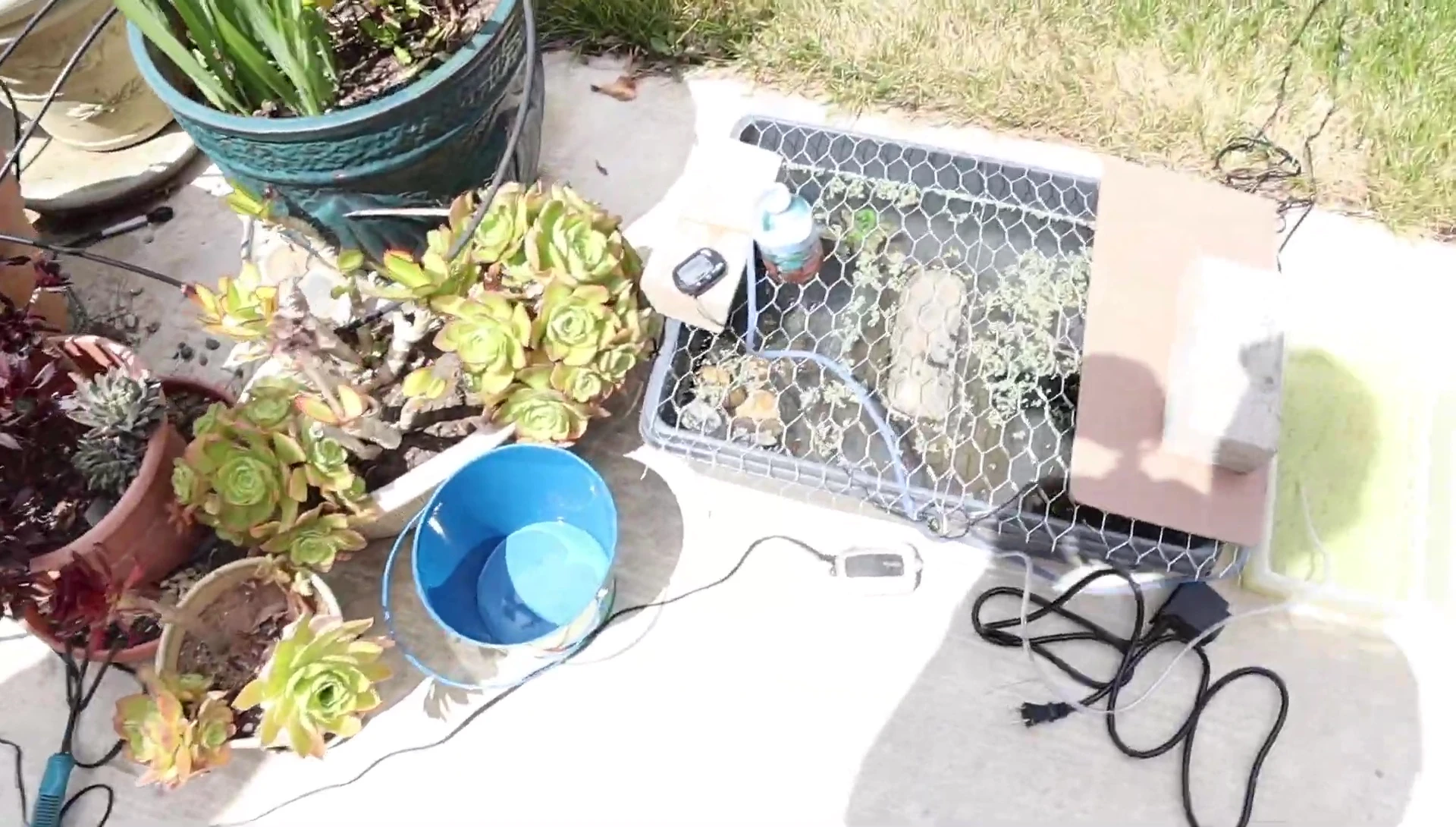 Solar powered filter