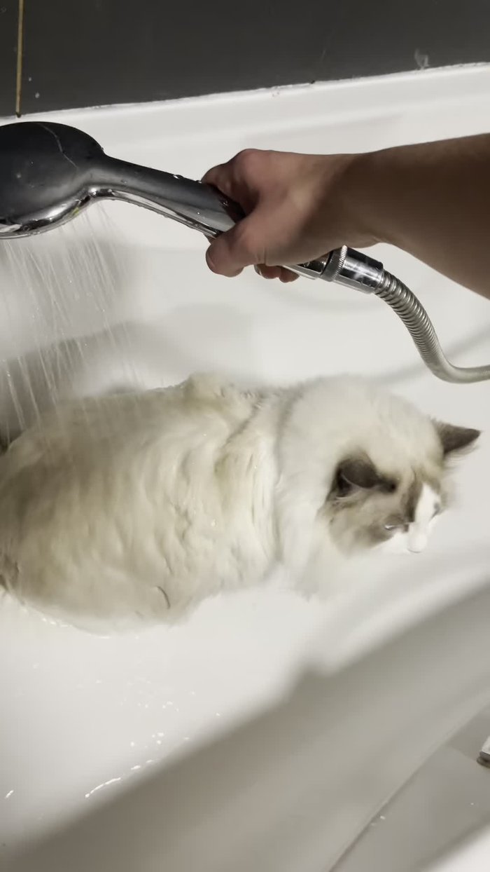 Check water temperature. Ensure it's not too hot.