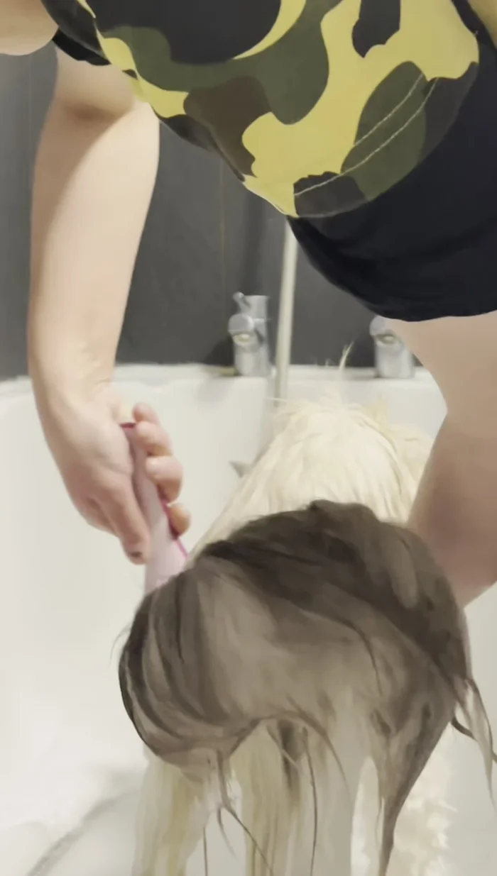 Comb out knots with a tangle teaser comb while the fur is wet.