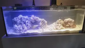 Innovative Marine 30 Gallon Reef Tank Setup: A Detailed Guide