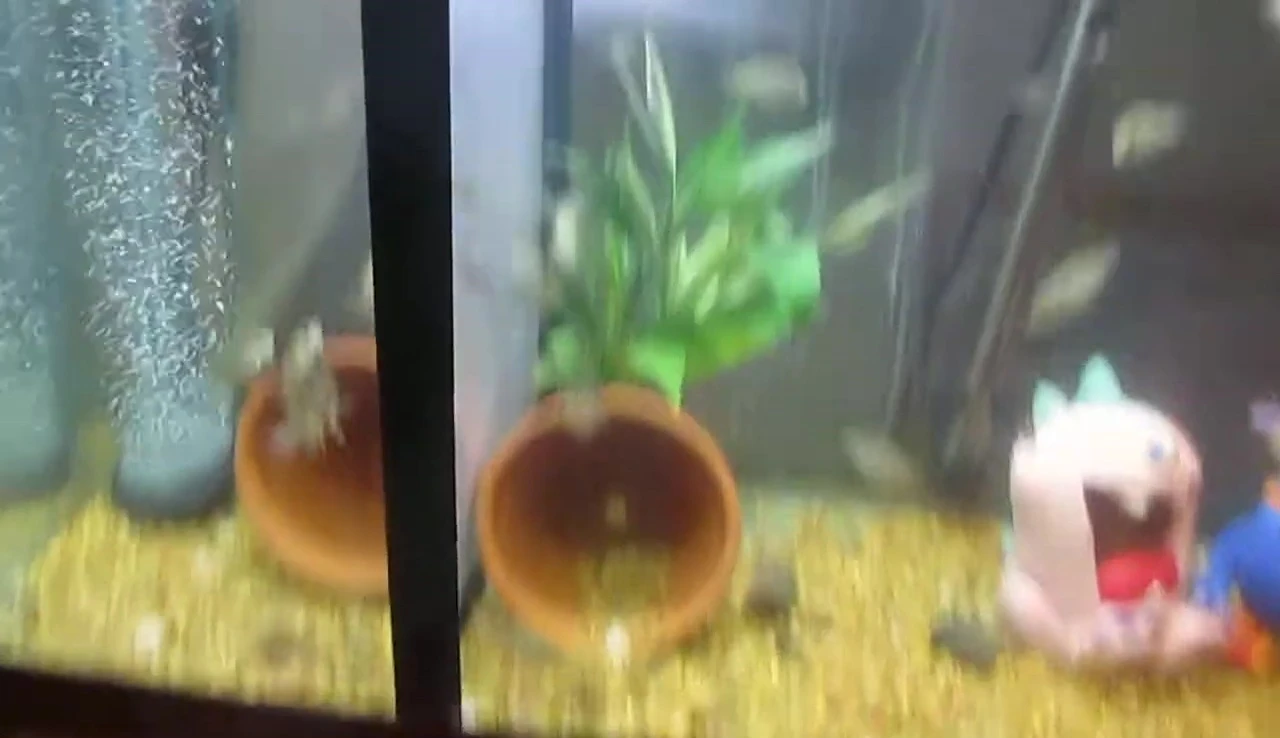 Close-up showing the gap at the bottom of the separator
