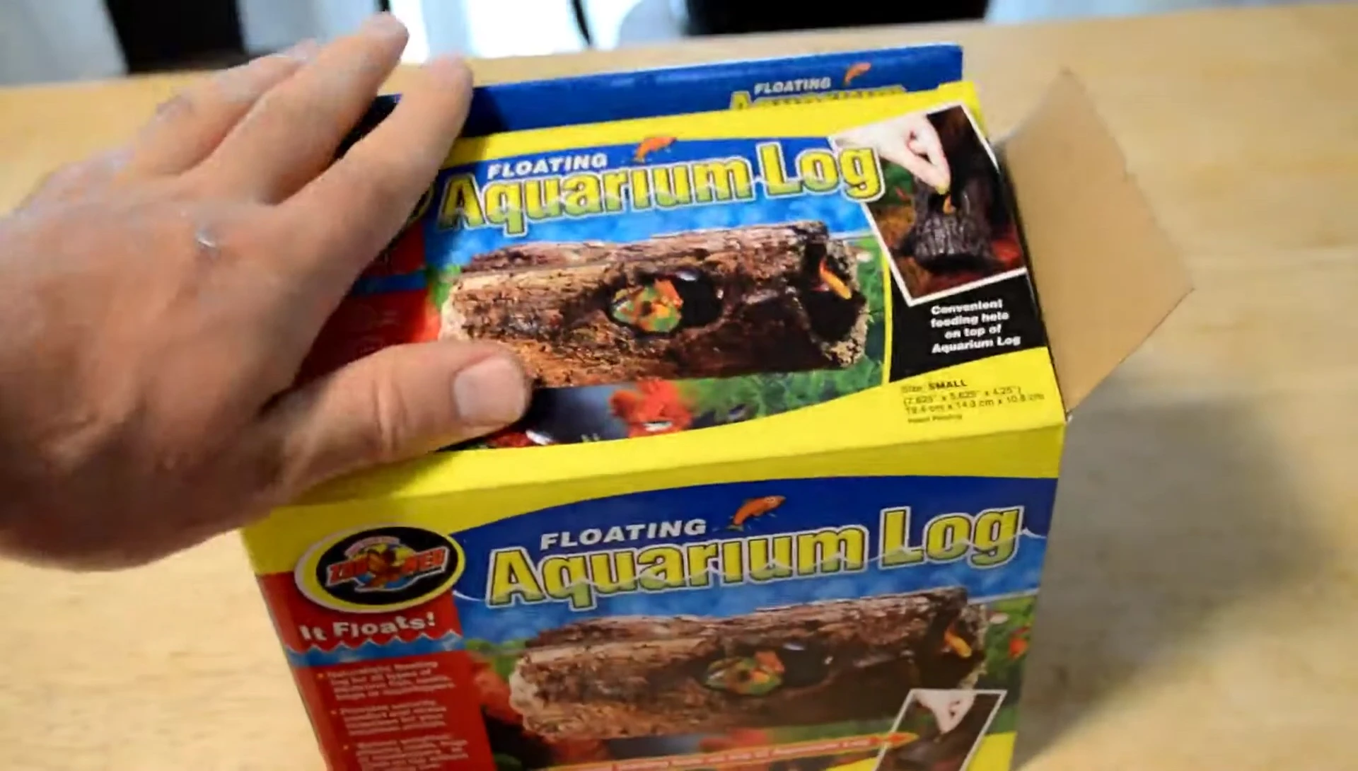 The log in the fountain, showcasing its floating ability.