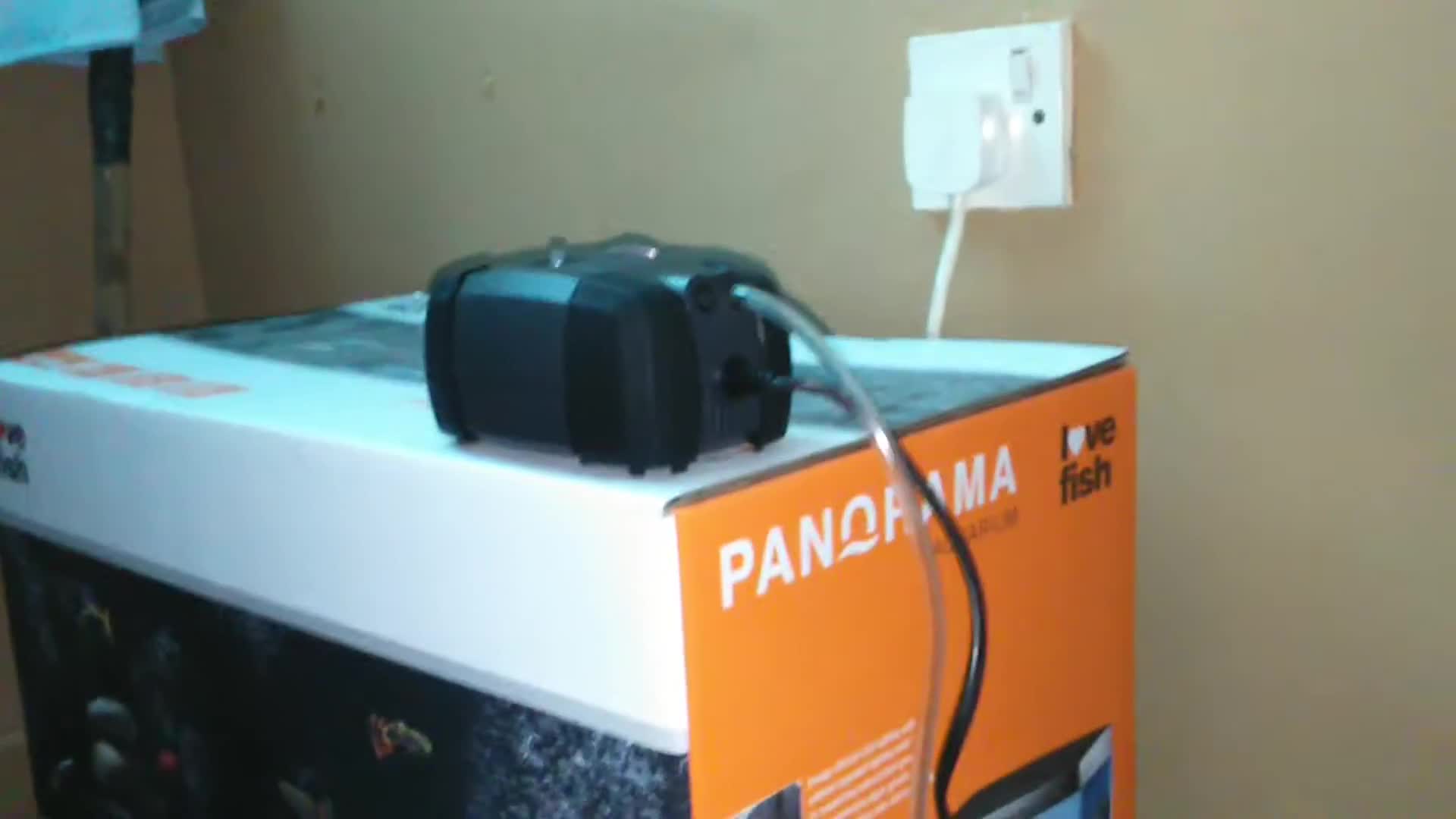 Shot showing the placement of the air pump in relation to the aquarium.