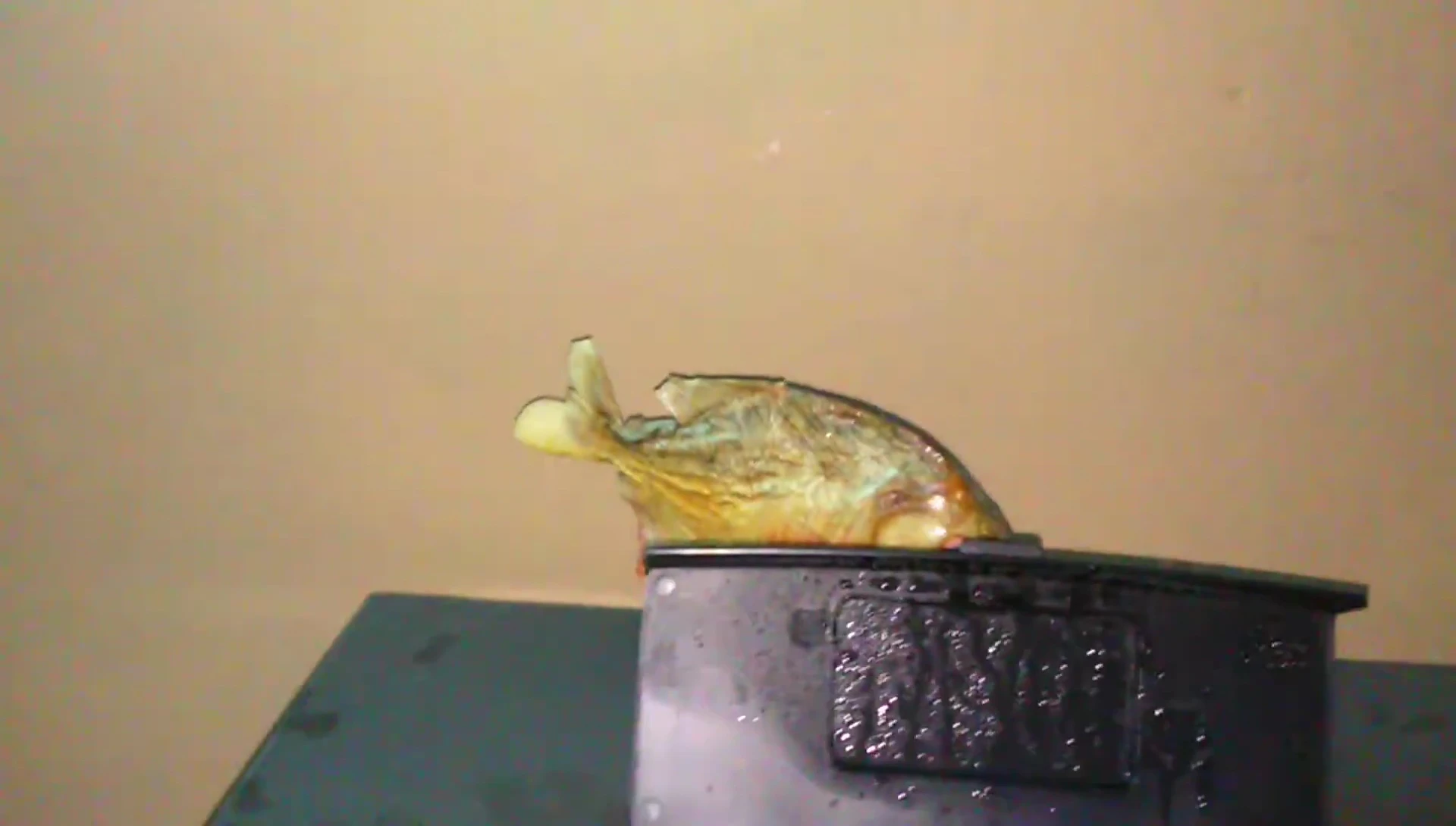 Mascot placed near the aquarium