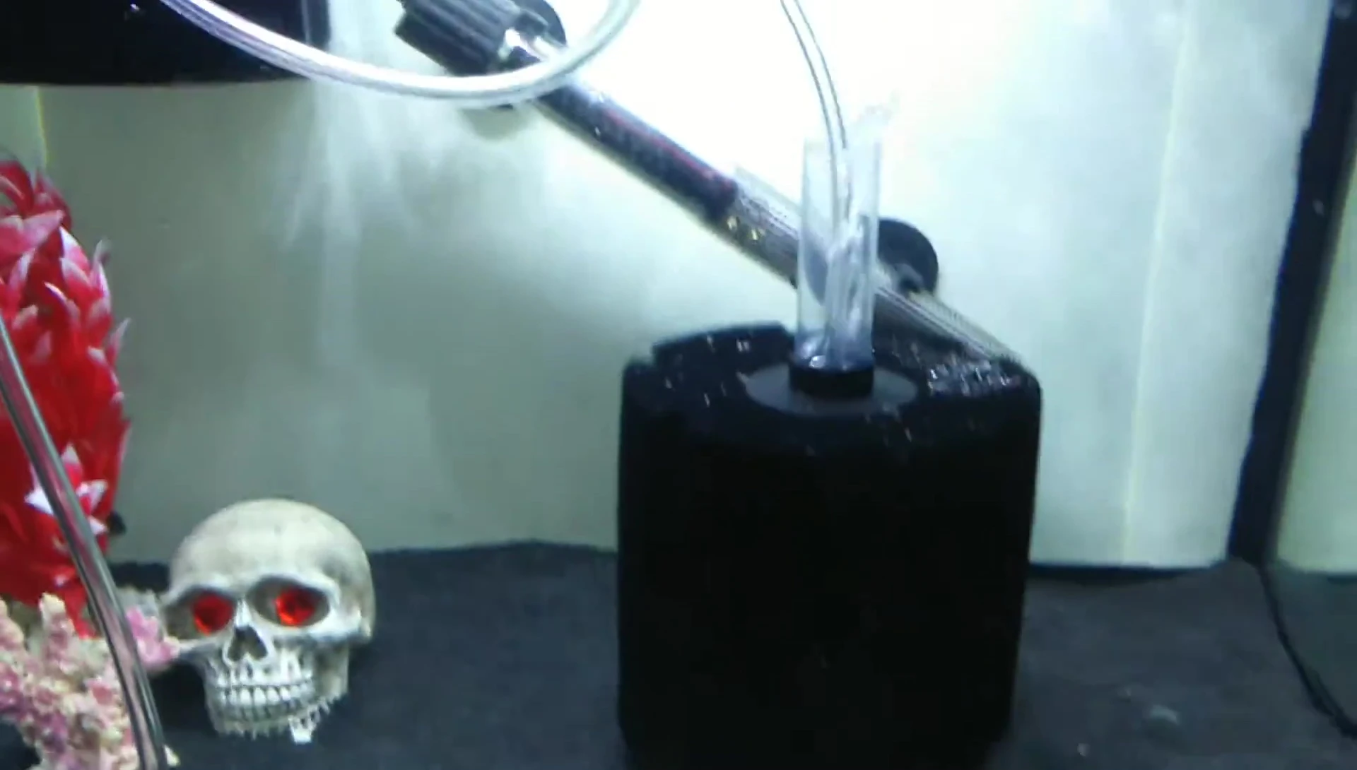 Visual representation of the large bubbles emanating from the sponge filter