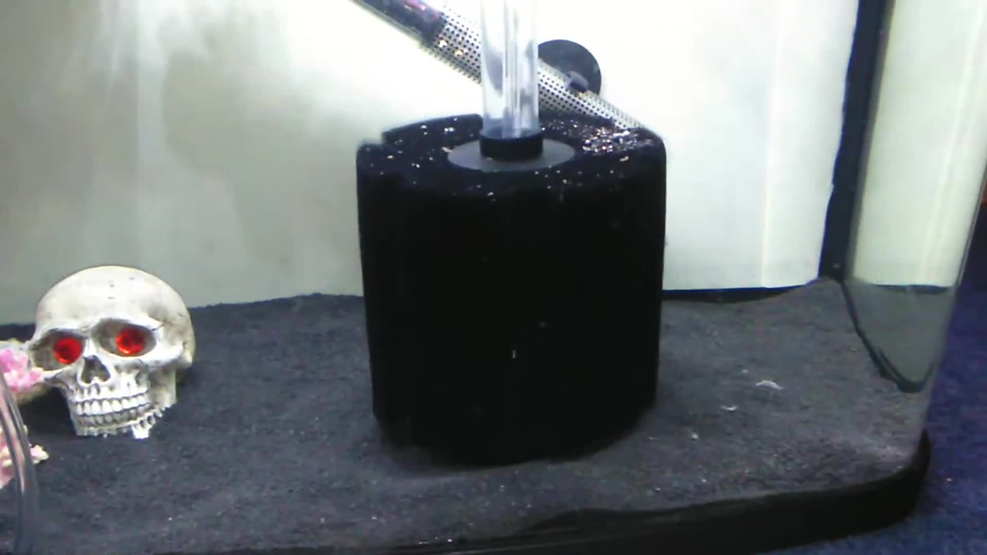 Close-up of the Eheim 400 sponge filter bubbling in the aquarium.