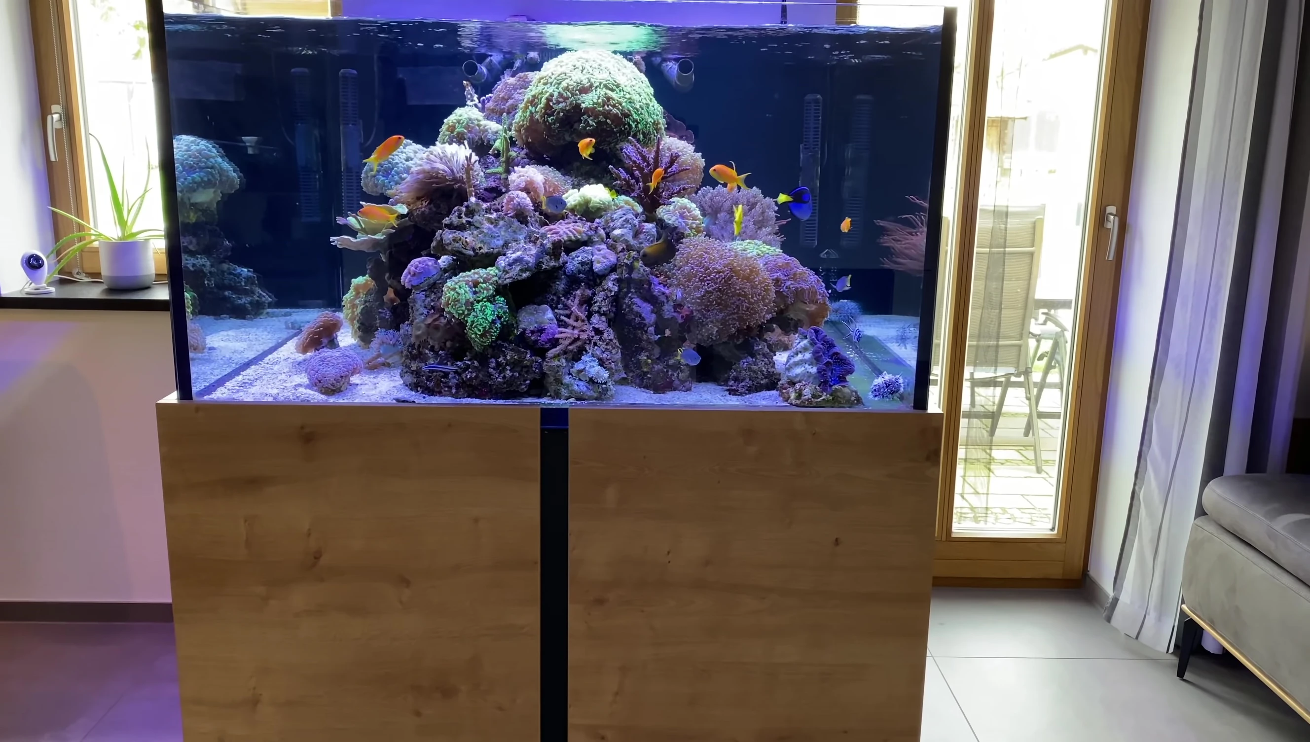 Overall view of the reef tank showing the reef structure on the table.