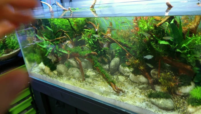 Remove any goop or jelly-like substance from decorations.