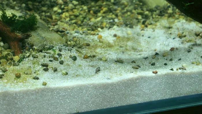 Remove any goop or jelly-like substance from decorations.