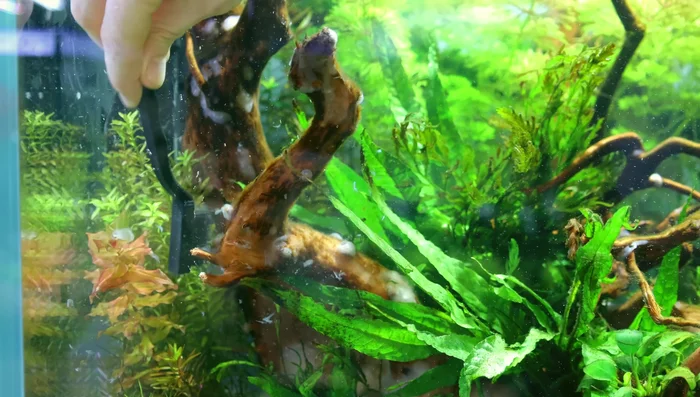 Remove any goop or jelly-like substance from decorations.