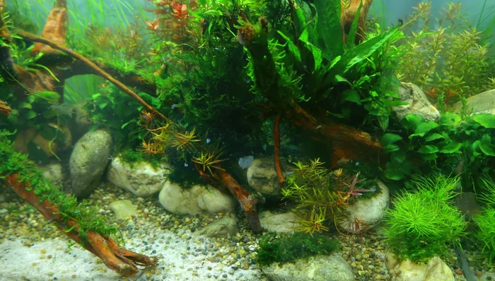 Clean the internal filter pad.