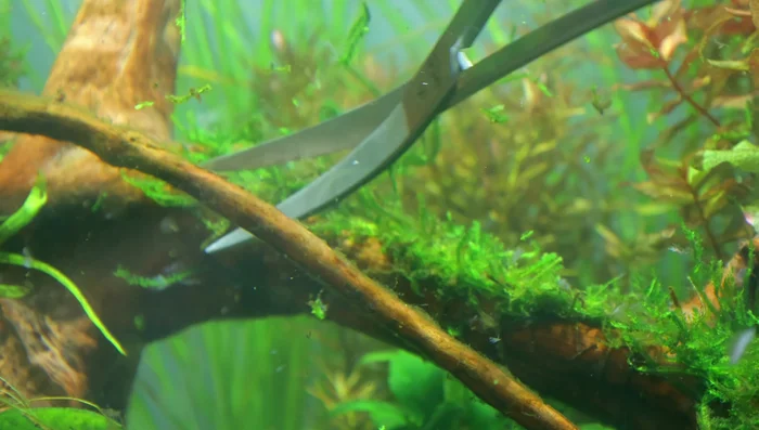 Clean the internal filter pad.