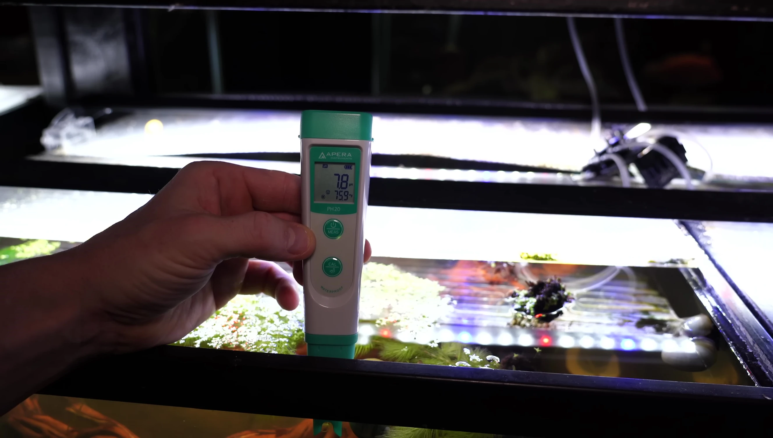 pH reading of the tank with driftwood