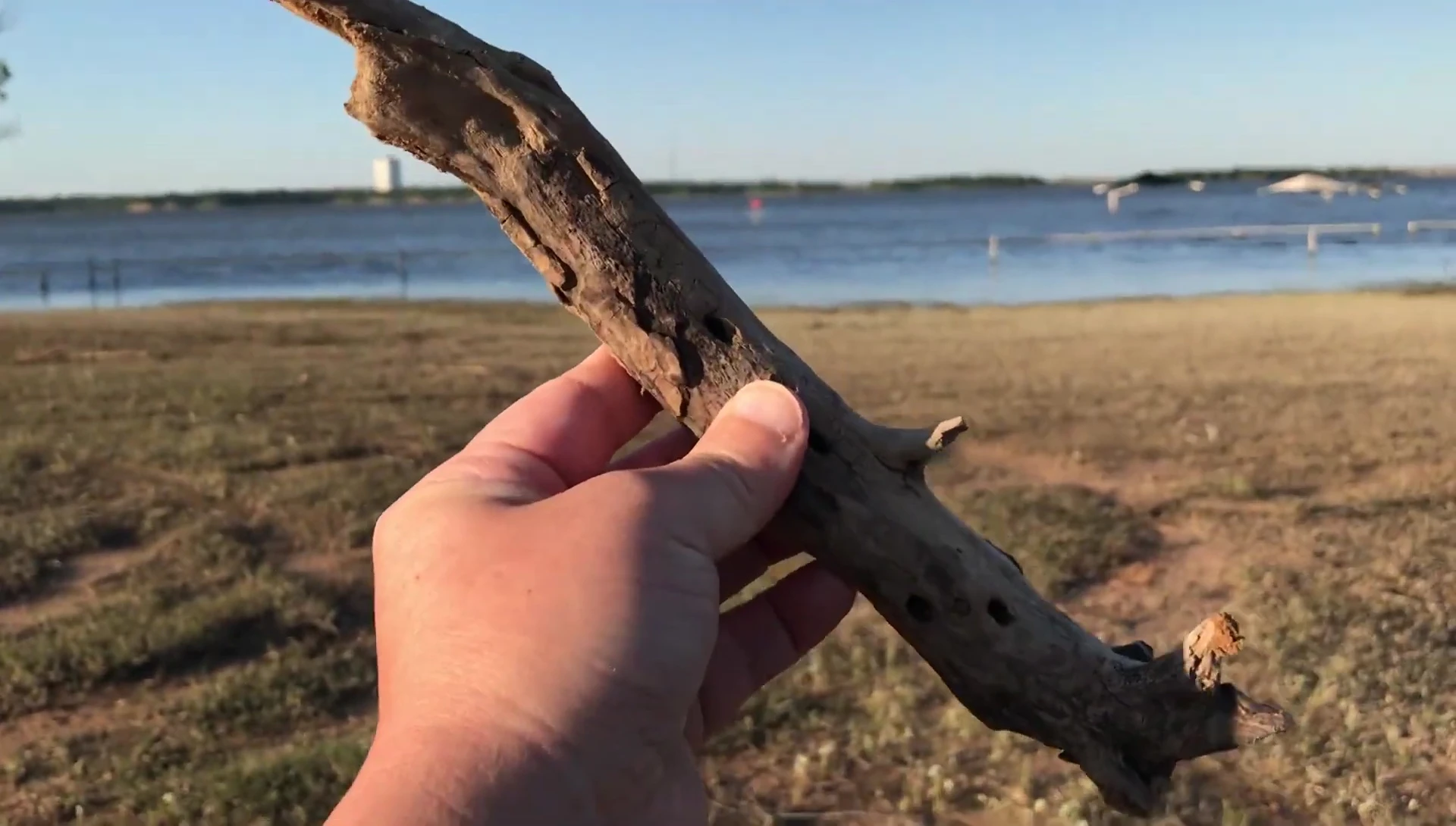 Person discussing how the driftwood would look in their aquarium