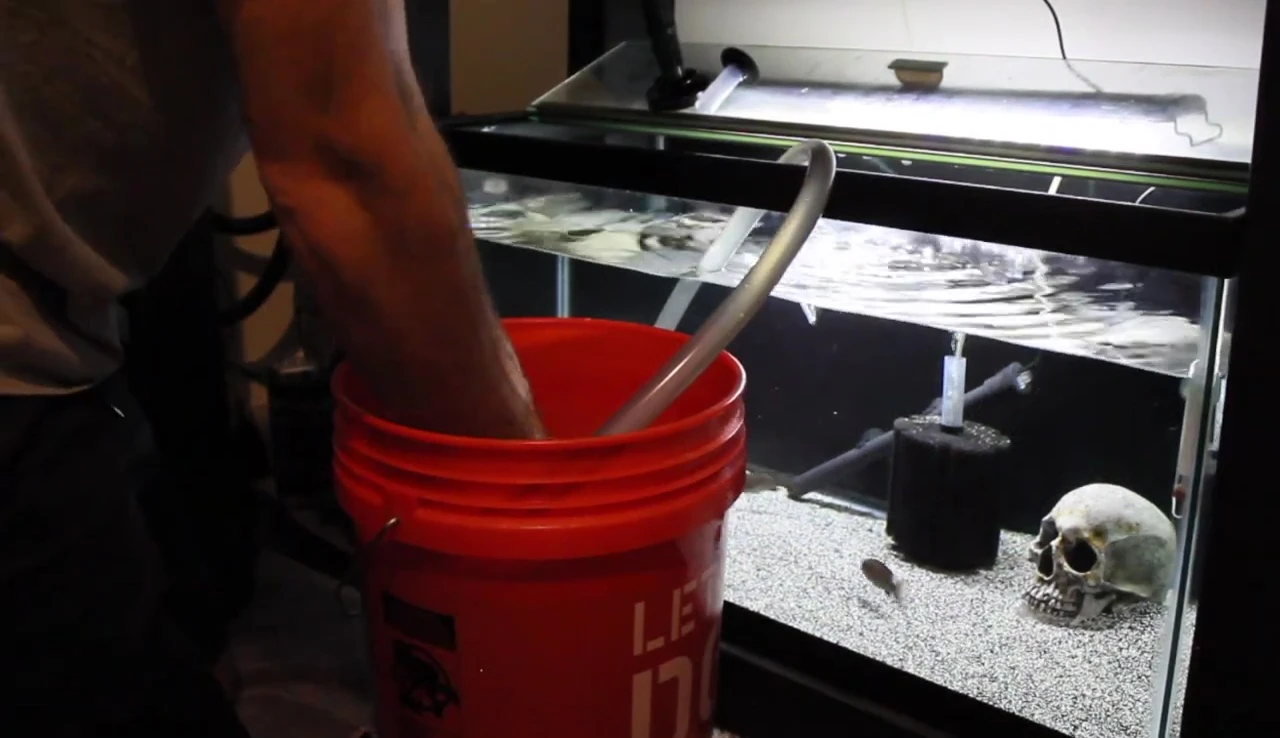 Person rinsing a sponge filter