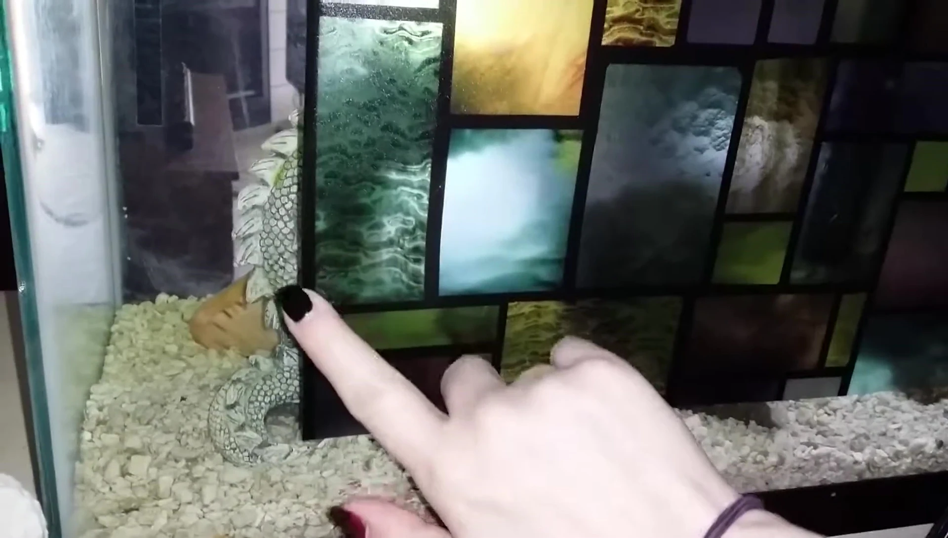 Person spraying the aquarium glass with cleaner before applying the cling.