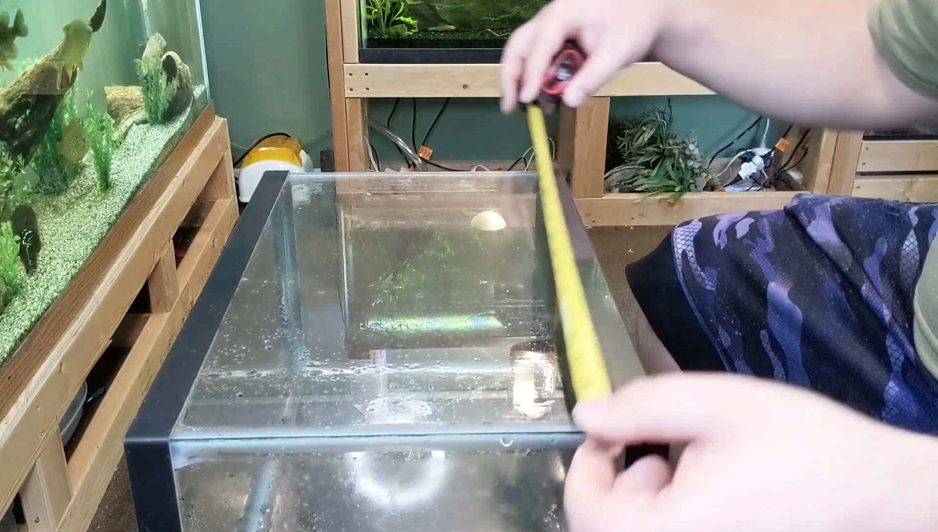 Measuring the aquarium's back panel for accurate tint cutting.