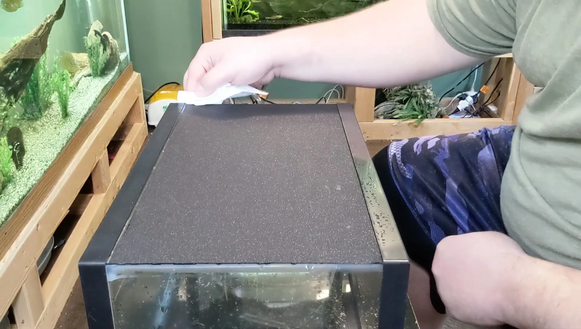 Drying excess water around the edges of the applied tint.