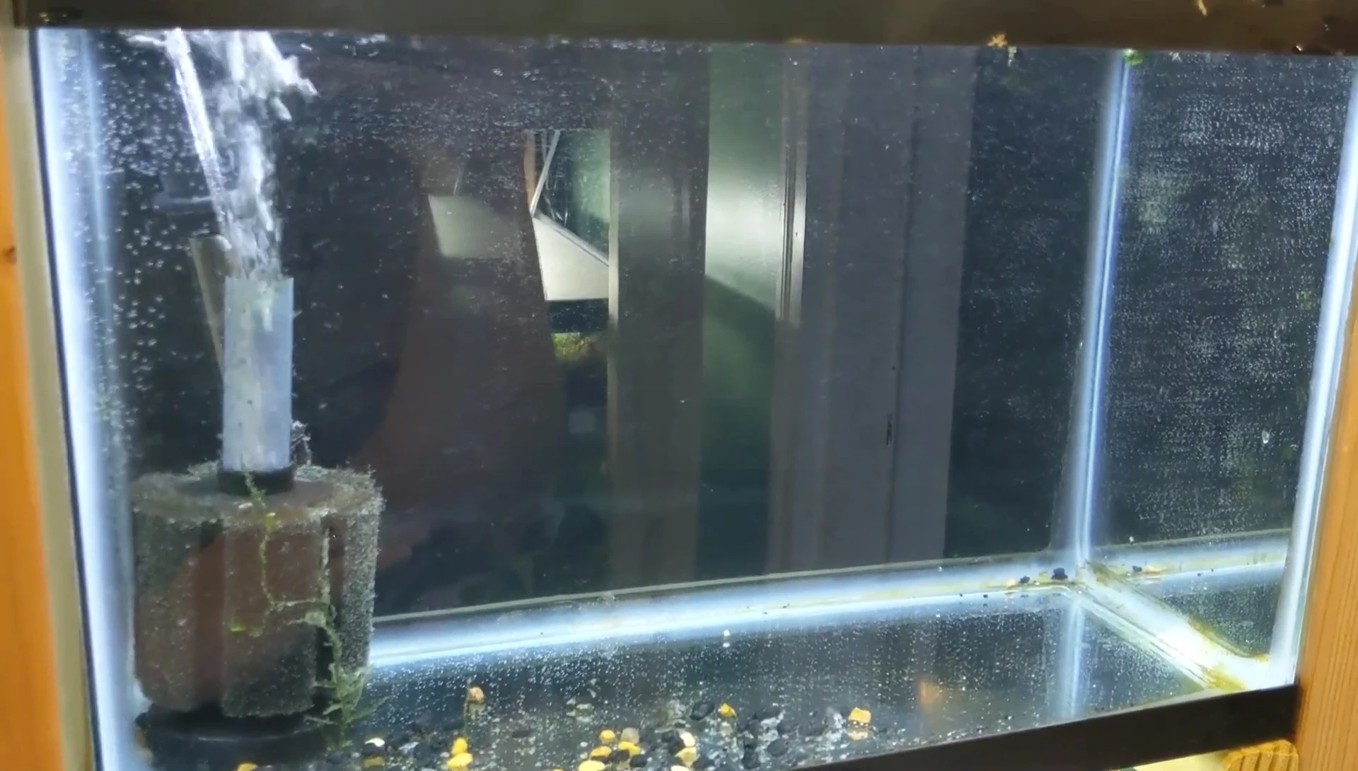 Close-up of the finished aquarium background.