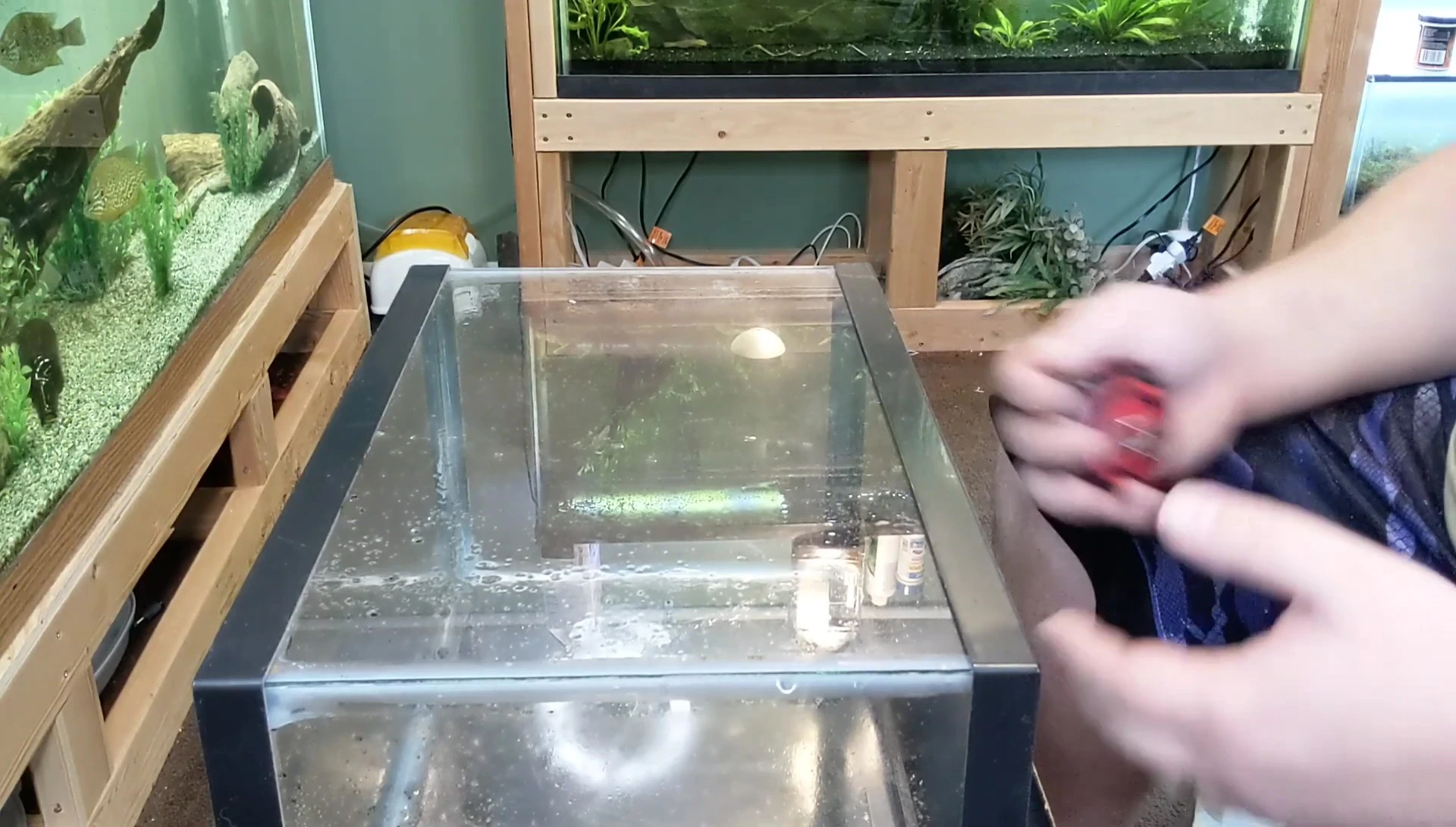 Aquarium drained and laid on its side, ready for cleaning.