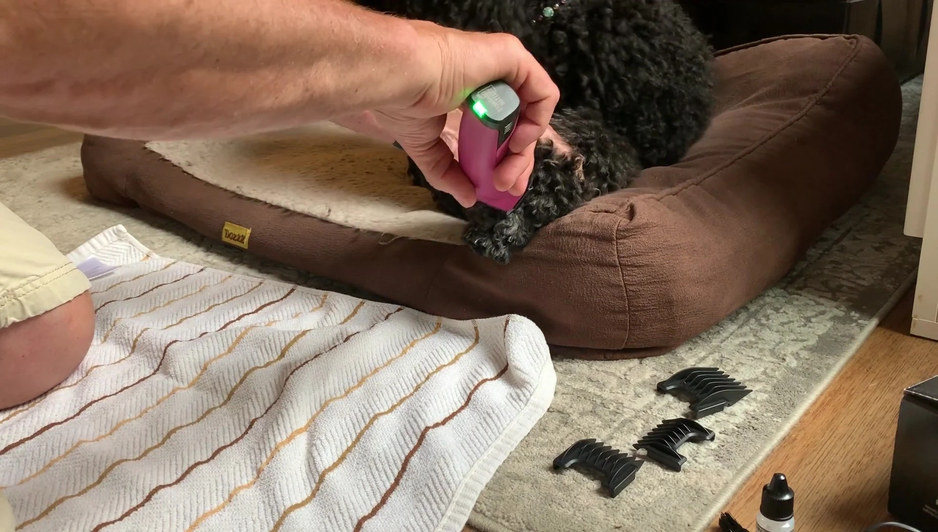Clipper in use, demonstrating its difficulty with short hair