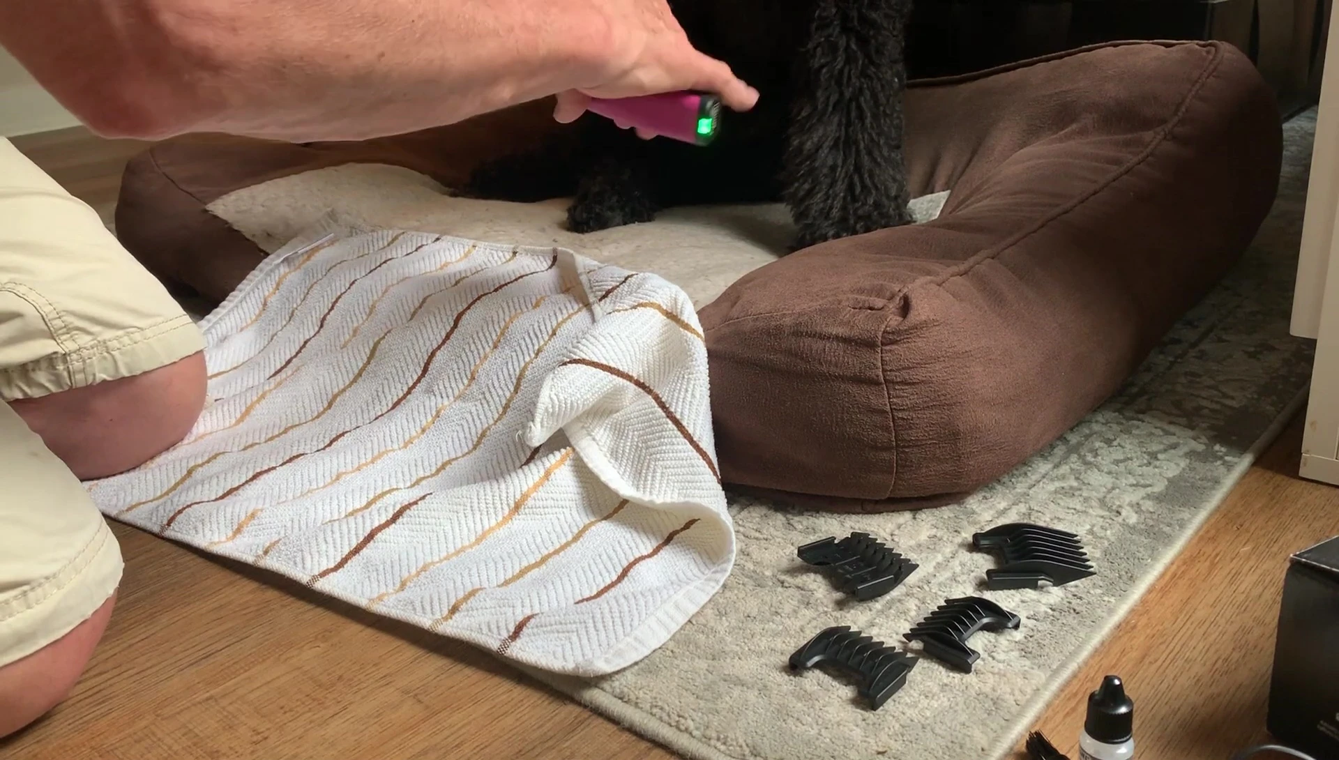 Clipper successfully trimming the dog's hair