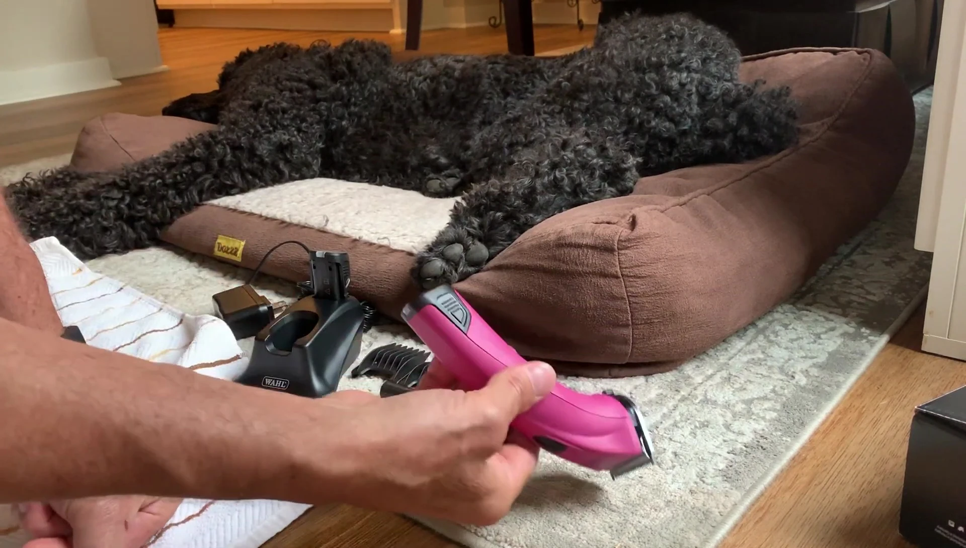 The Wahl Creativa clipper with its accessories