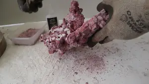 Ultimate Guide: Aquascaping with Eco Forest Rocks - The Strongest Bond Technique
