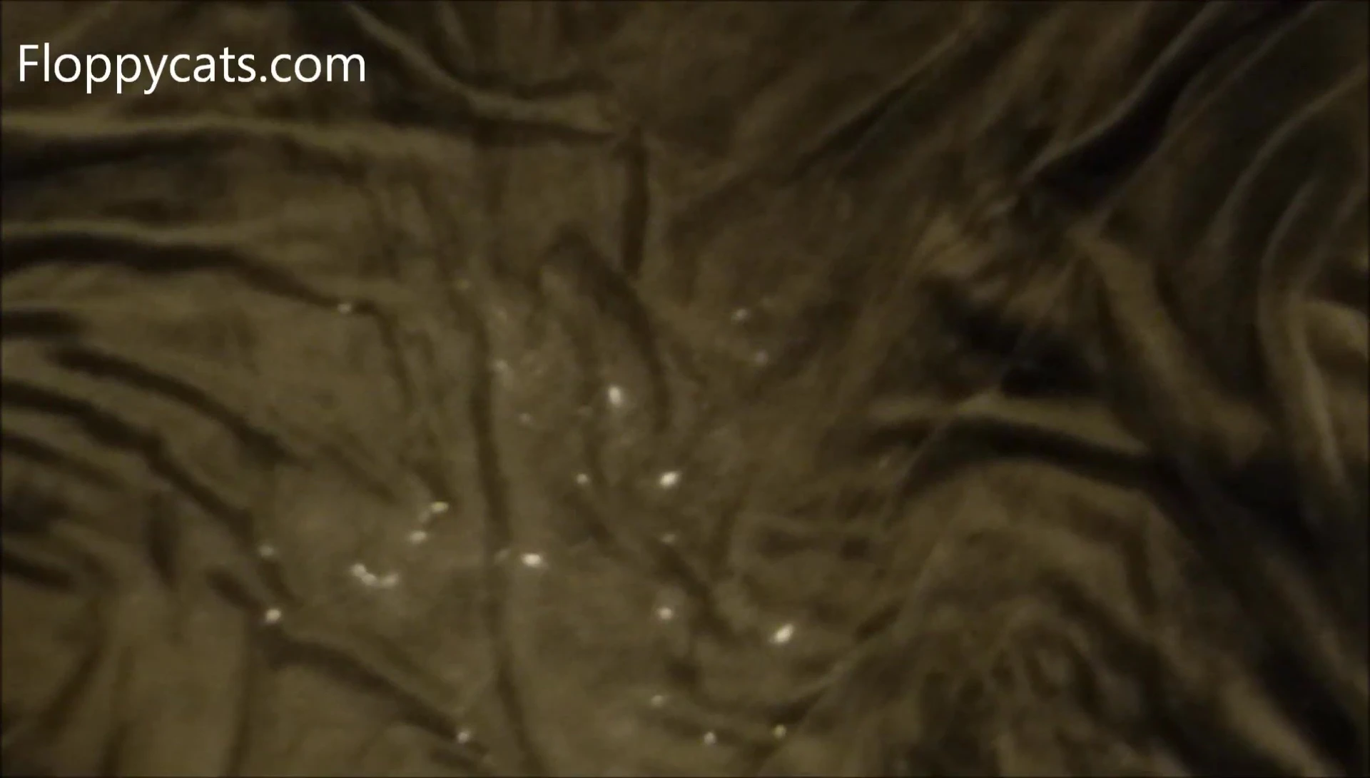Gleener removing pet hair from an electric blanket