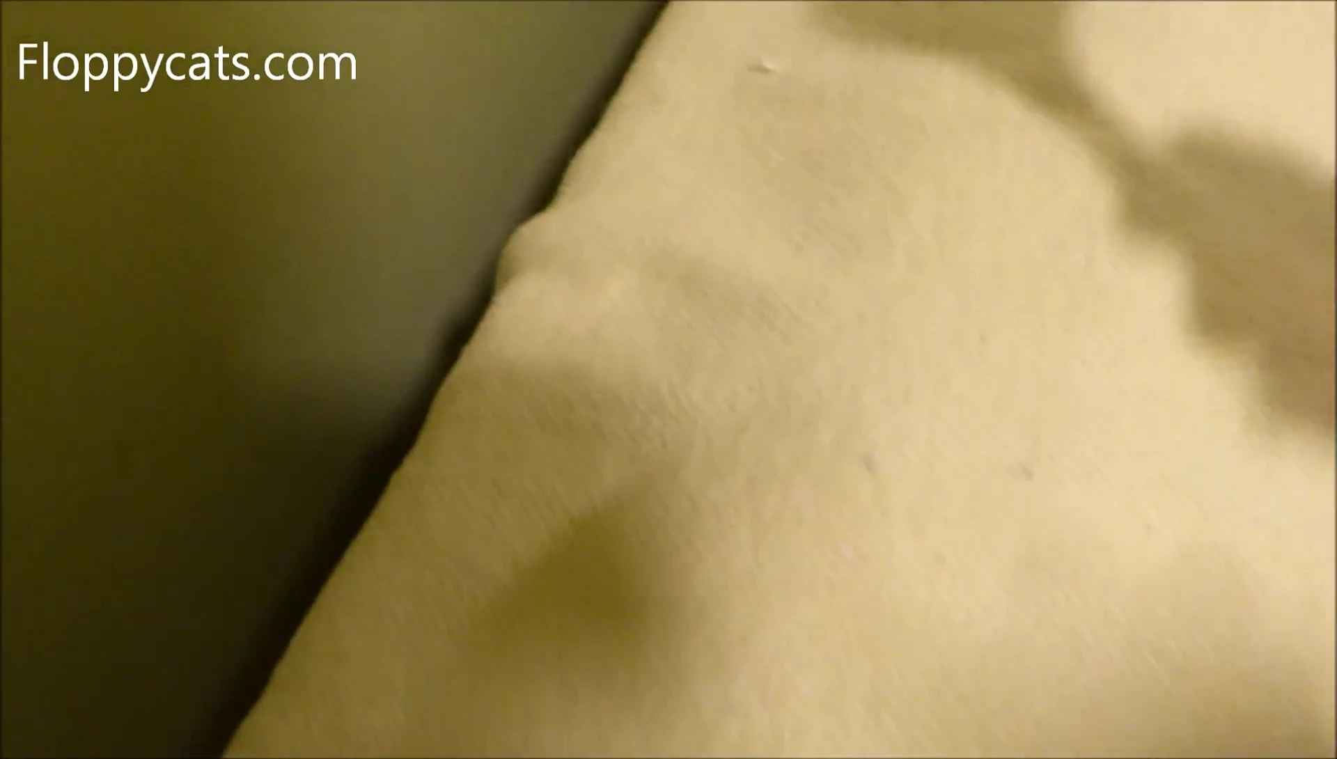 Gleener being used on a piece of clothing