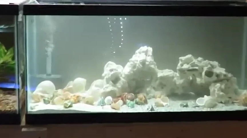 Final shot of the completed Tanganyika tank.