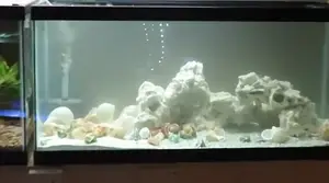 African Cichlid Aquarium Rescape: Seachem Base Rock &amp; Shell Decor