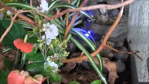 ZooMed LED Small Rock Waterfall: A Vivarium Must-Have?