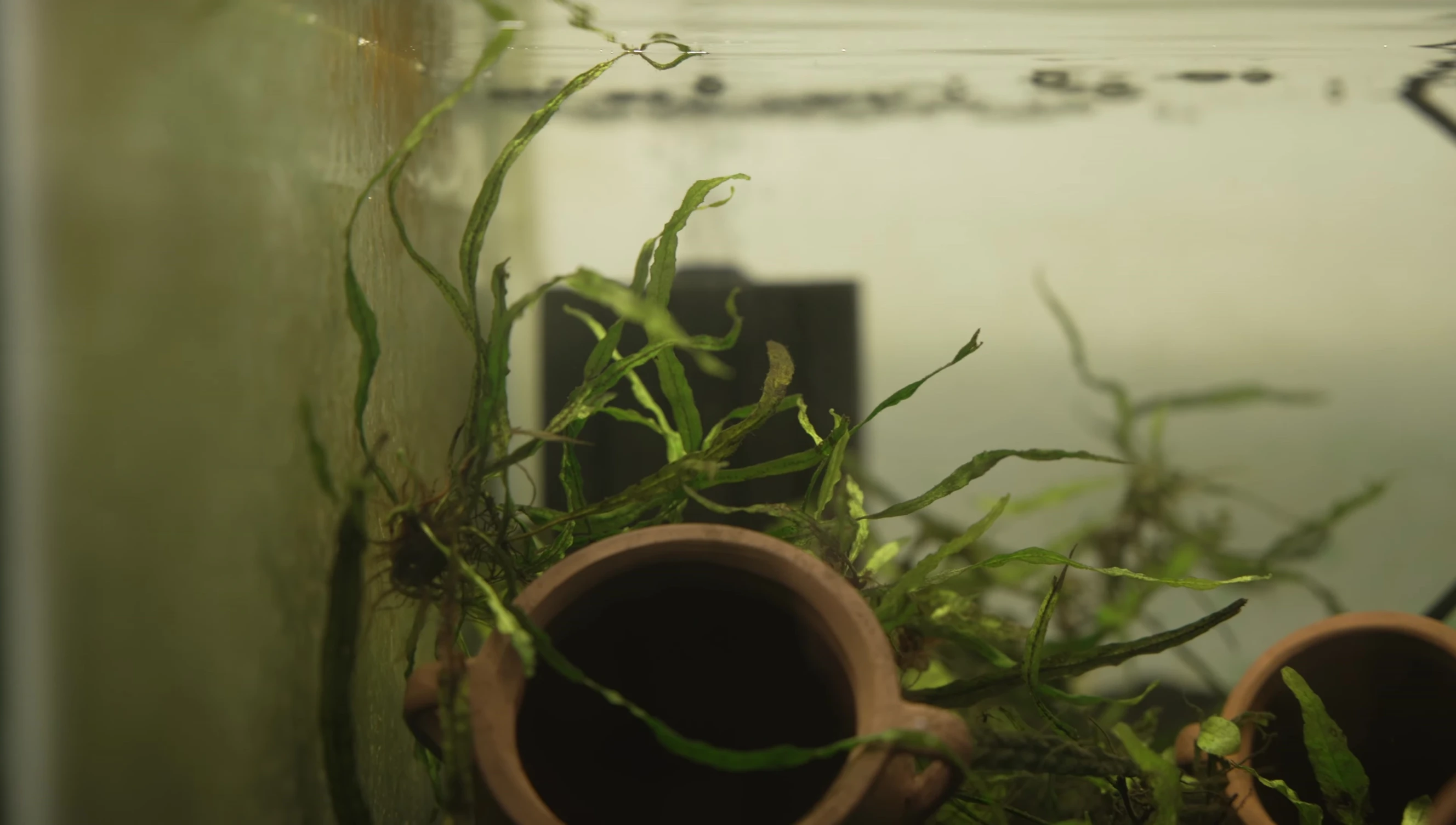 Uniform bubble flow