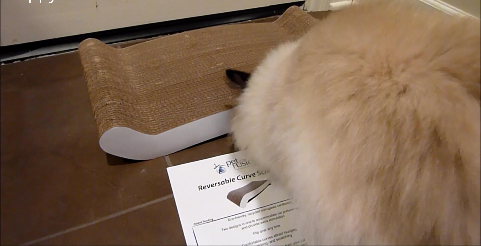 Catnip being sprinkled on the scratcher