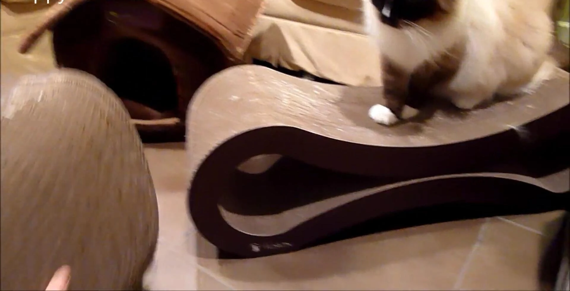 Close up comparison of the jumbo scratcher and the reversible scratcher