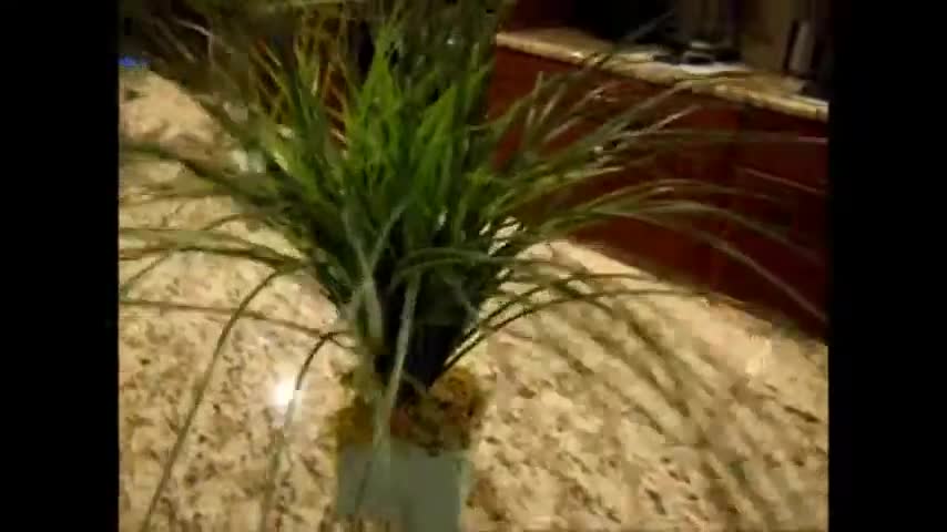 Screenshot showing an example of a completed reptile plant.