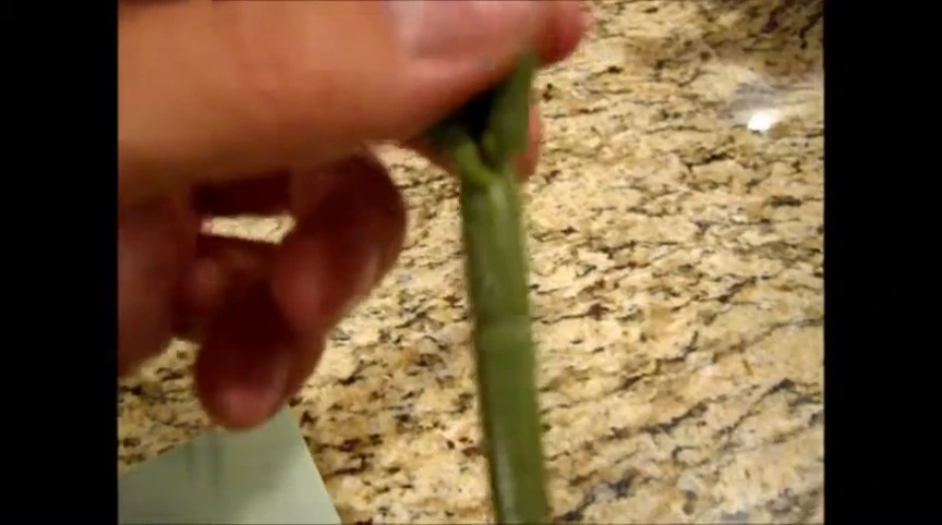 Close-up of the artificial plant base and metal stem.
