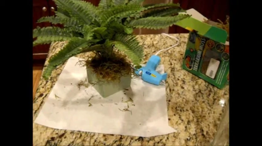 Screenshot showing a completed reptile plant.