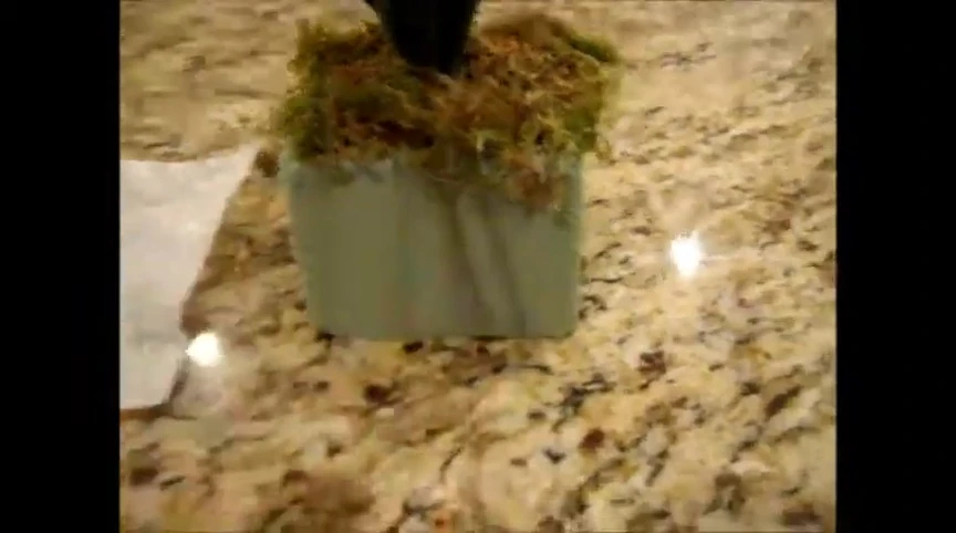 Screenshot showing the sphagnum moss used.