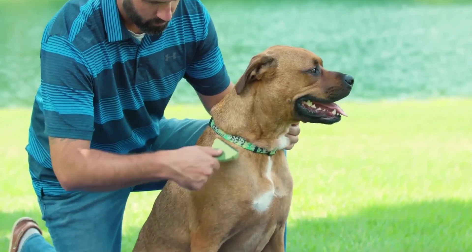 Various Coastal Pet grooming products