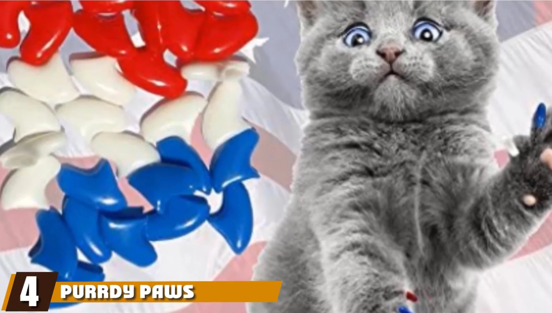 Purdy Paw Soft Cat Nail Caps packaging and various colors