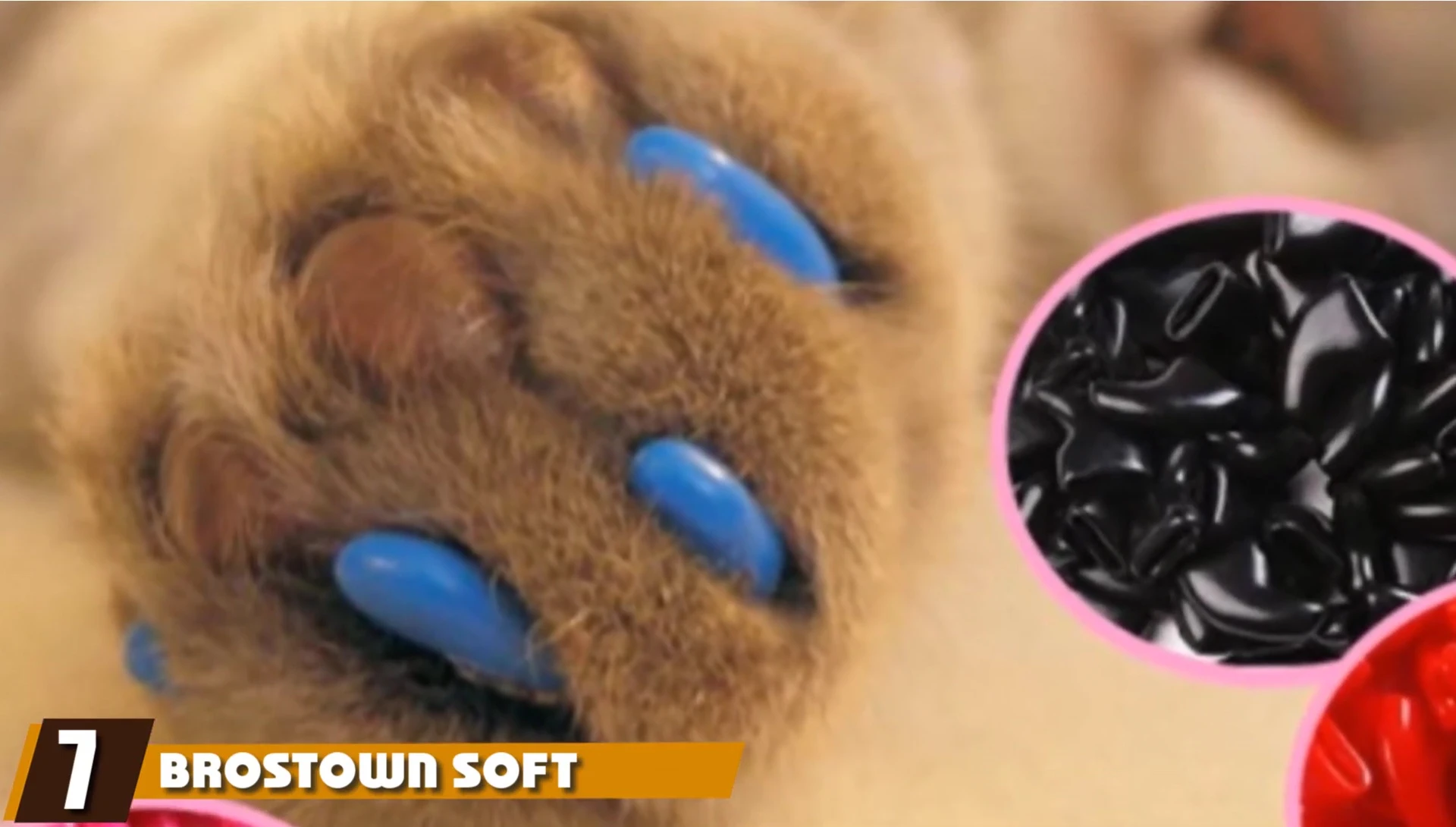 Brass Down Soft Pet Cat Nail Caps packaging and colors