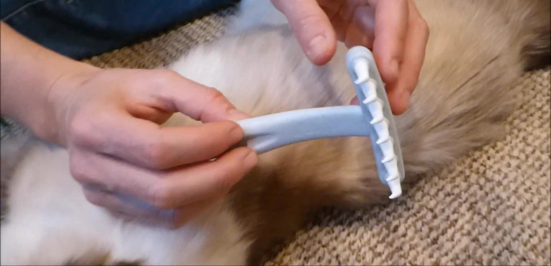 Close-up of the EZ-Groomer comb showcasing its unique tooth design.