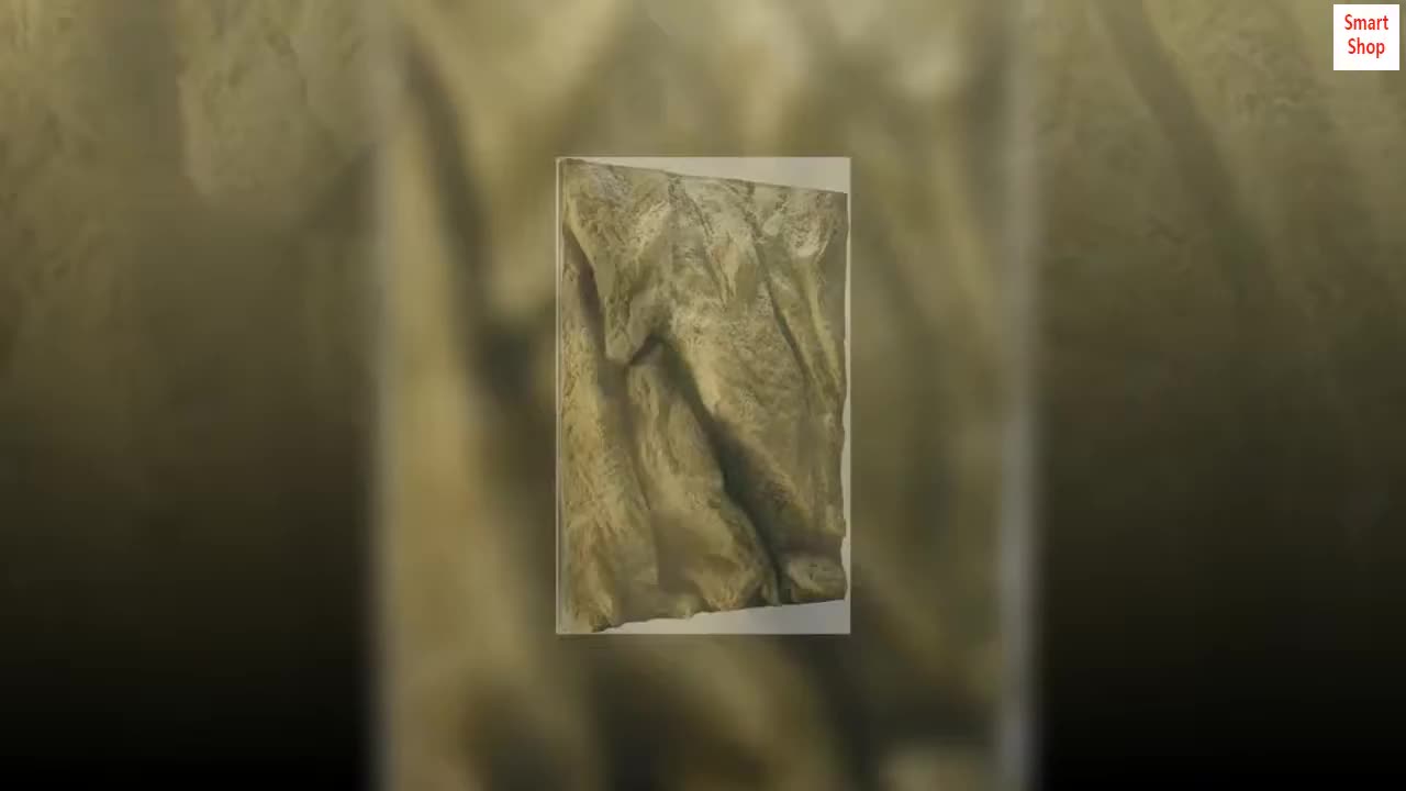 Close-up of the Exo Terra Rock Background showcasing its natural rock texture.
