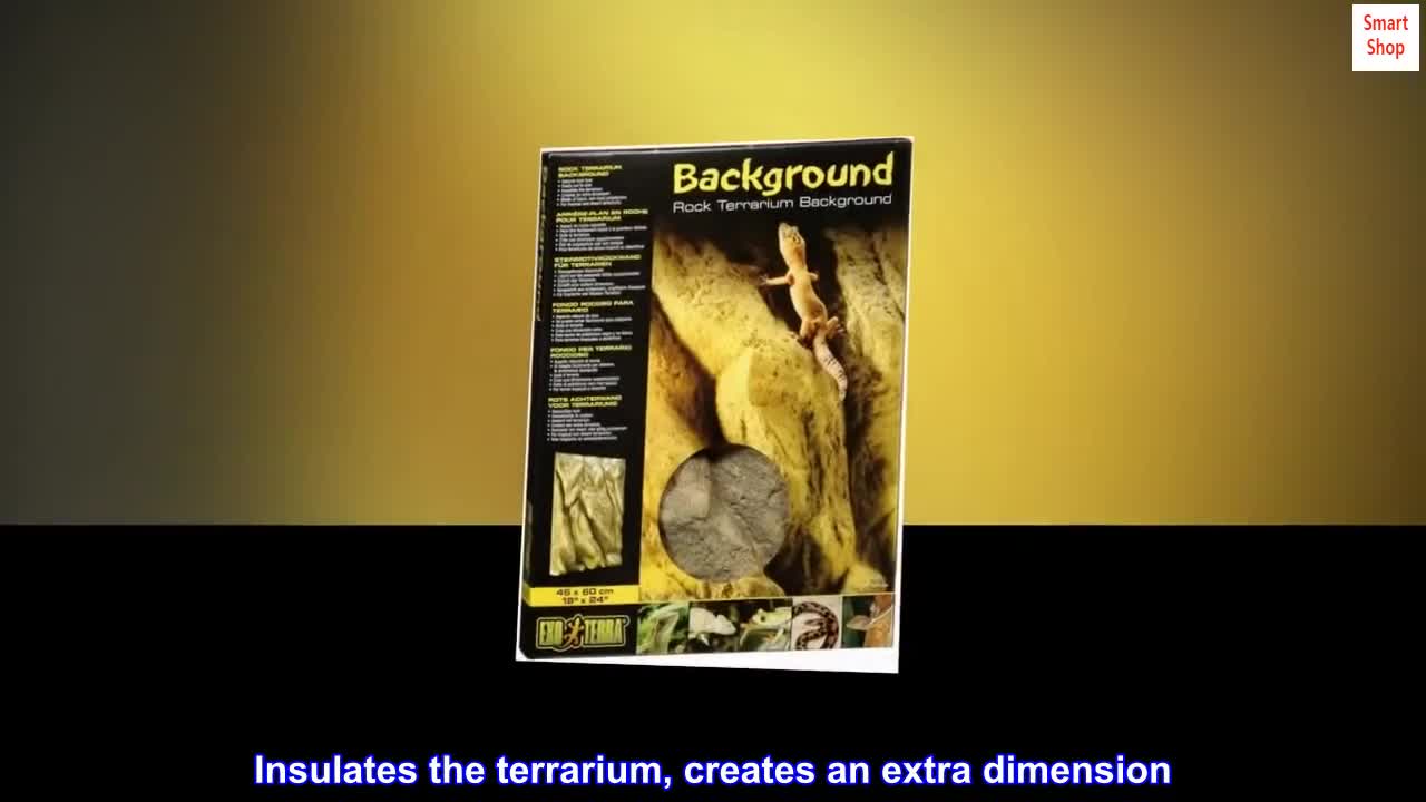 View of the terrarium highlighting the background's multi-dimensional aspect.