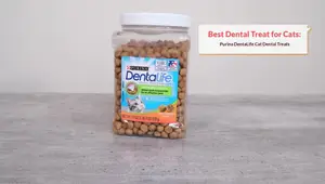 Best Cat Dental Products: A Comprehensive Guide