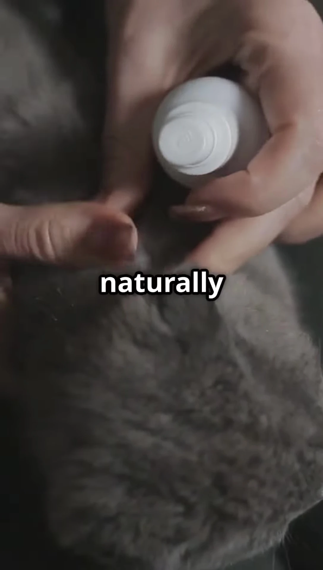 Image of a cat shampoo bottle with gentle, natural ingredients listed.