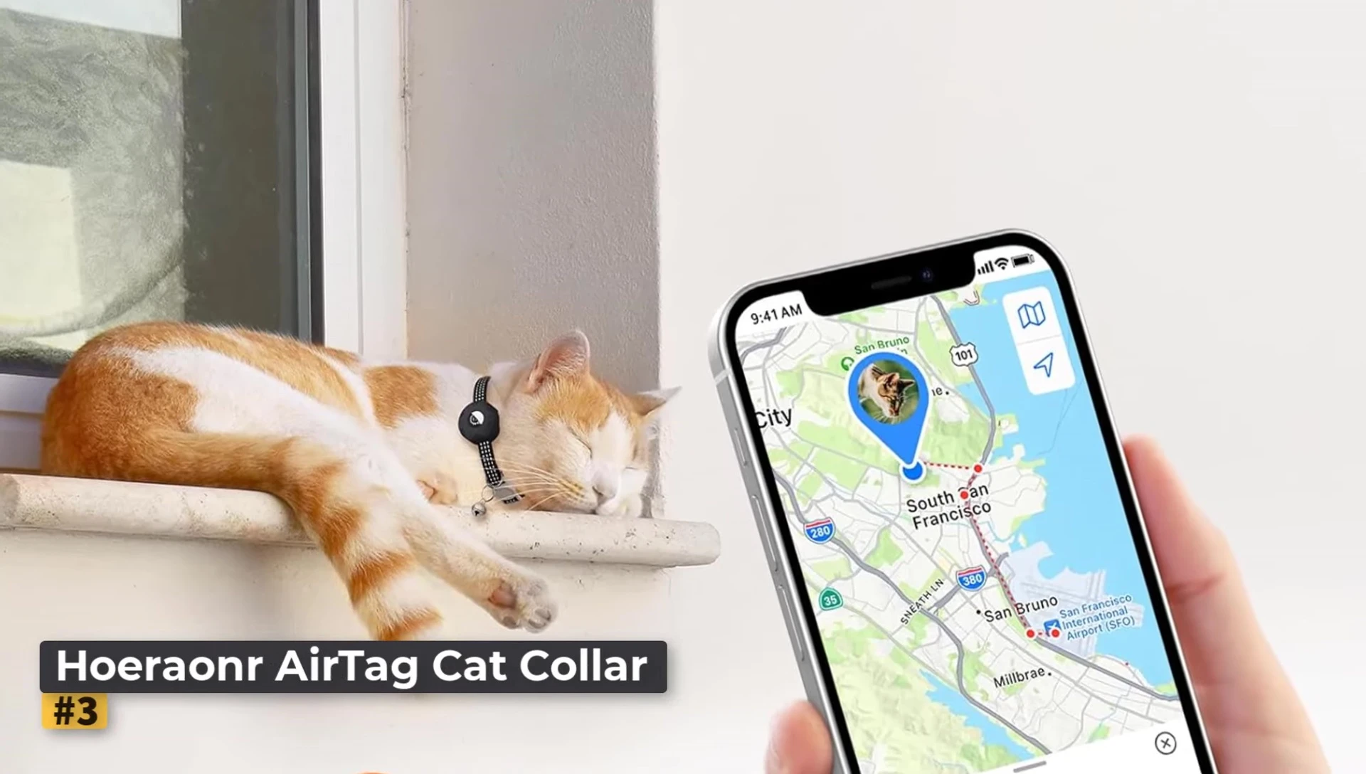 Herainer AirTag Cat Collar on a cat