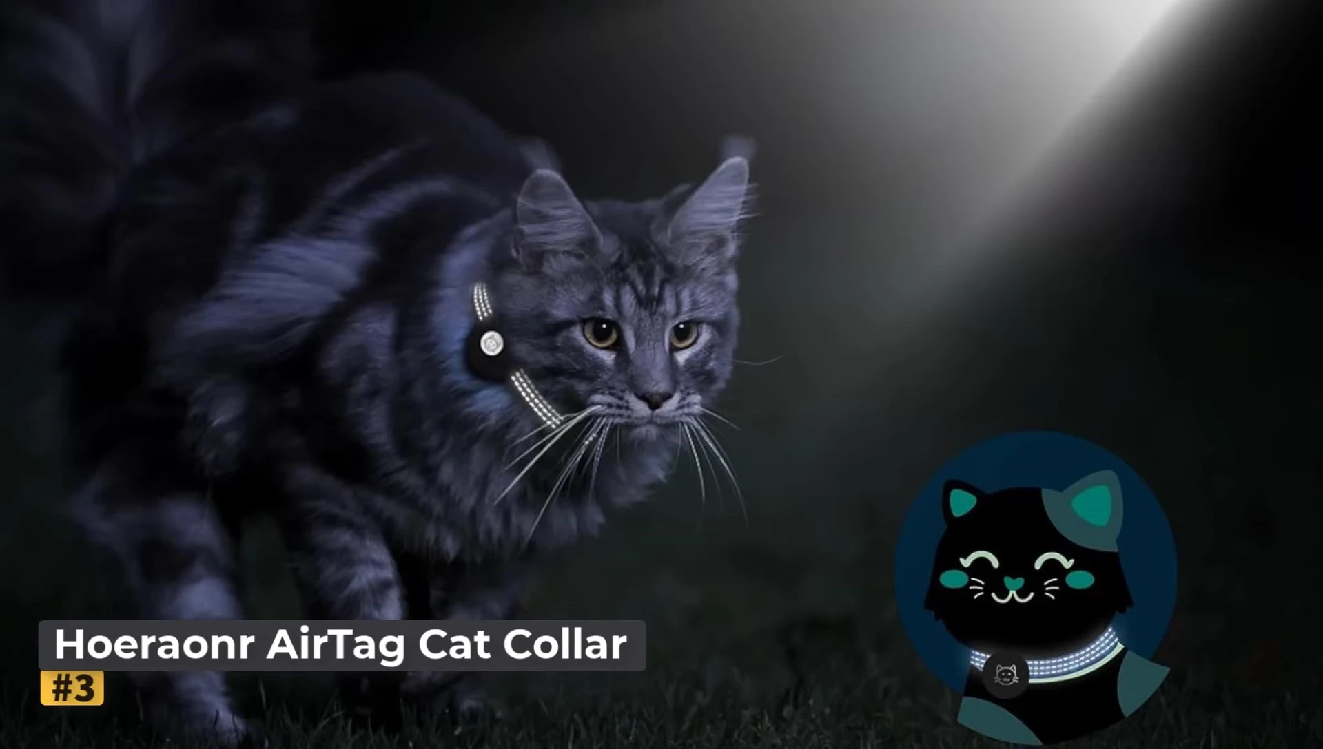 Close-up showcasing the AirTag holder on the collar